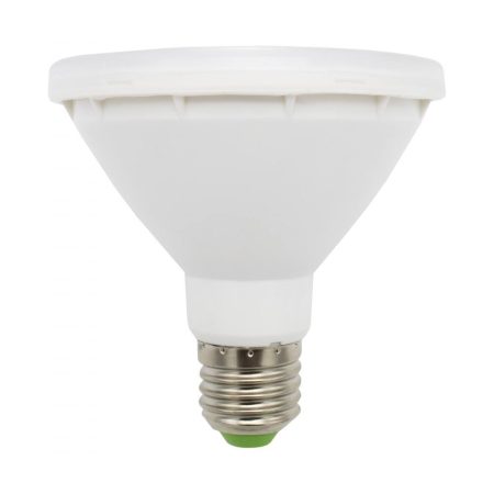 lampada-led-par30-10w-1000x1000
